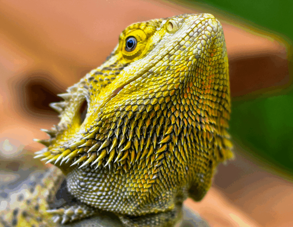 アトピーの人がヒゲ脱毛を受けることは可能なのか？