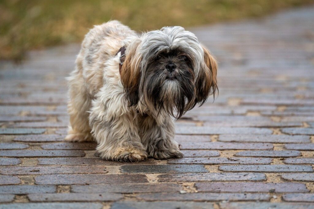 30代の店長がヒゲ脱毛で身だしなみを整えるメリットは？