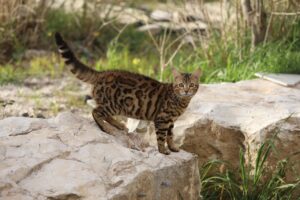 居酒屋でヒゲ脱毛を失敗しないためのポイントは？