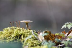 毛穴が目立つ悩みをヒゲ脱毛で改善する方法は？