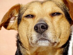 寝坊しがちでもヒゲ剃りの時間を減らす方法は？