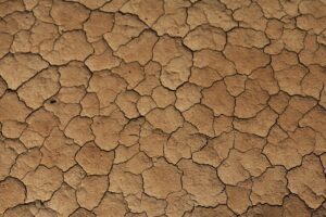 ヒゲ脱毛の分割手数料はいくらかかる？
