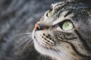 乾燥したひげを剃ると痛い？ヒゲ脱毛で解決する方法は？