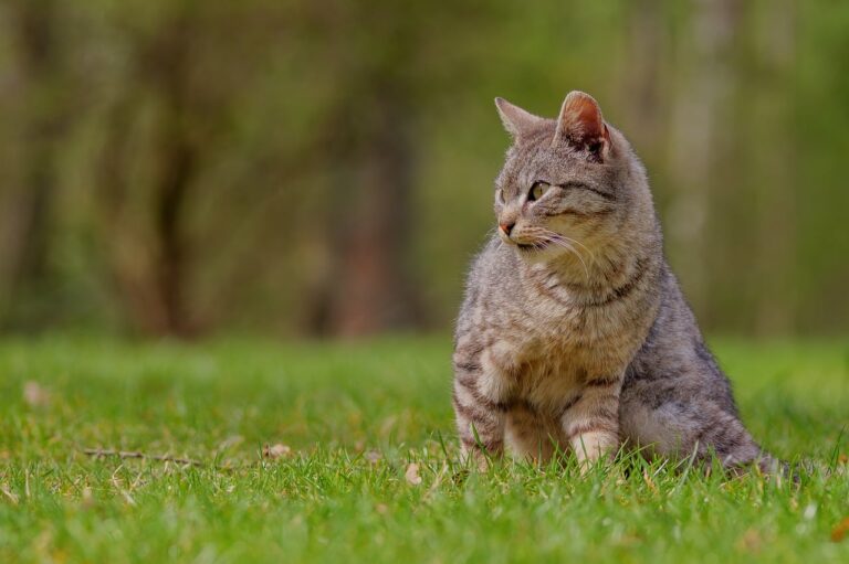 ヒゲ脱毛の方法を徹底比較！あなたに合った選び方は？